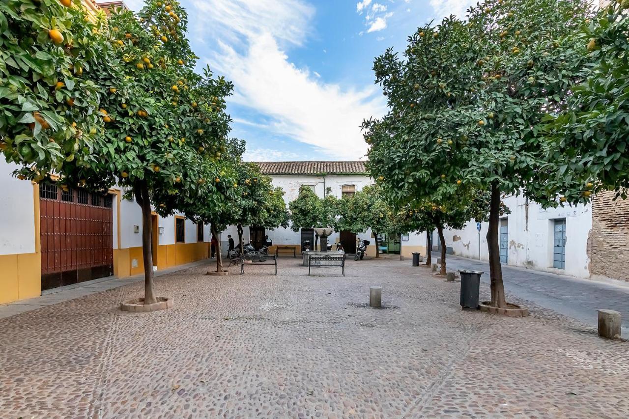 Apartamento Bhost - Regina VI Córdoba Exterior foto